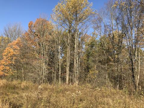 66147 Union Rd, Cassopolis, MI 49031 photo 10