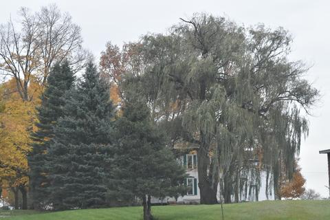 26891 Spring Creek Rd, Mendon, MI 49072 photo 15