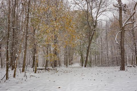 9475 Douglas Ave, Plainwell, MI 49080 photo 26