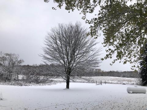 548 E Madison Rd, Hart, MI 49420 photo 26