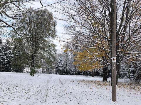 548 E Madison Rd, Hart, MI 49420 photo 28