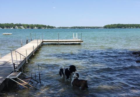 62320 Wilson Ave, Cassopolis, MI 49031 photo 52