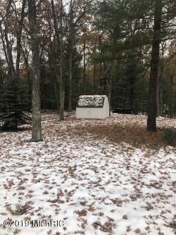 9099 S Larsen Ave, Baldwin, MI 49304 photo 3