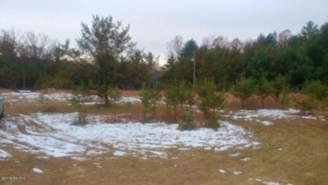 3424 E 56th St, Chase, MI 49623 photo 8