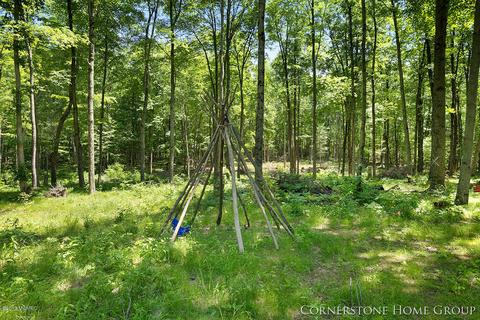 8360 Johnson Rd, Belding, MI 48809 photo 20