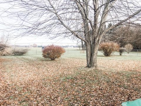 22720 Pinhook Rd, Mendon, MI 49072 photo 14