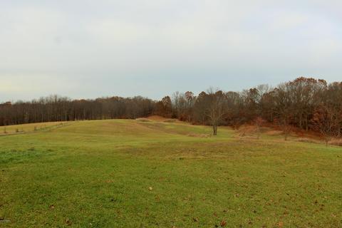 9445 Jones Rd, Bellevue, MI 49021 photo 18