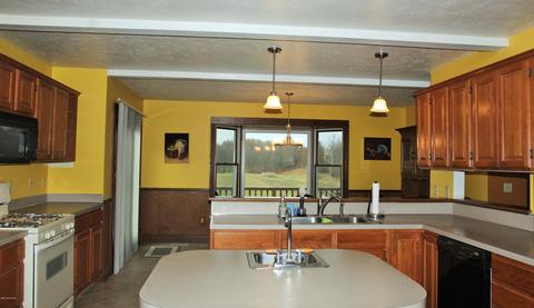 9445 Jones Rd, Bellevue, MI 49021 photo 23