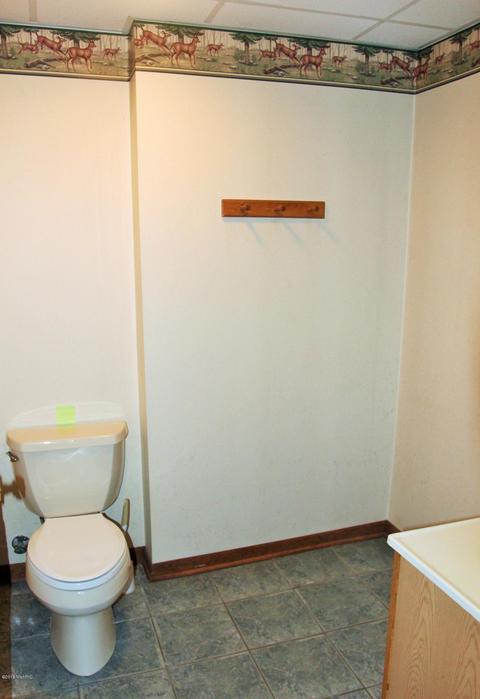 9445 Jones Rd, Bellevue, MI 49021 photo 51