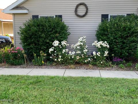 9445 Jones Rd, Bellevue, MI 49021 photo 21