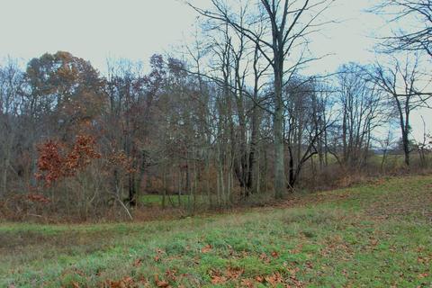 9445 Jones Rd, Bellevue, MI 49021 photo 19