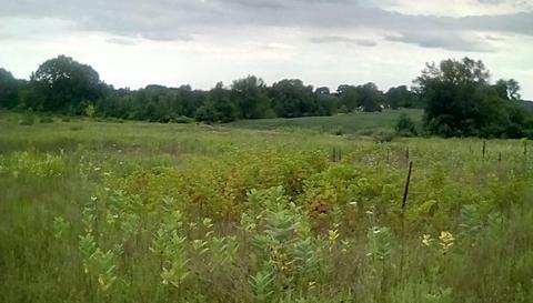 0 B Dr N, Marshall, MI 49068 photo 8