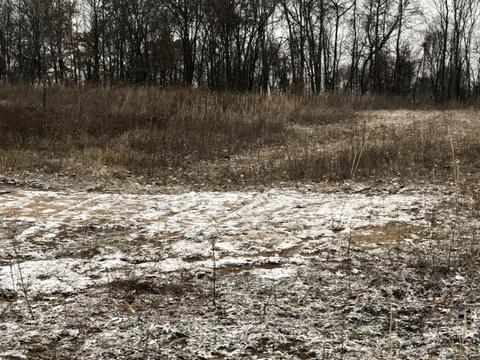 0 B Dr N, Marshall, MI 49068 photo 7