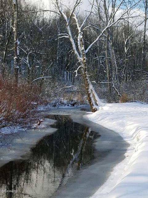 5311 Whites Bridge Rd, Belding, MI 48809 photo 14