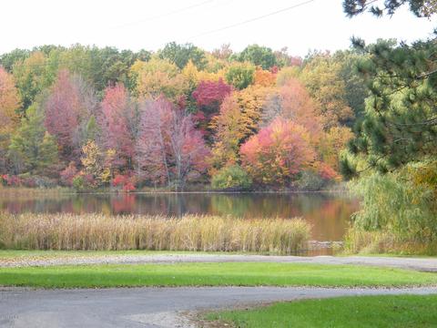 17808 D Dr S, Marshall, MI 49068 photo 42