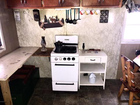 8981 S Spruce, Baldwin, MI 49304 photo 5