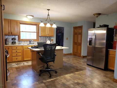 374 W Briggs Rd, Stanton, MI 48888 photo 3