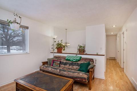 10038 Fish Rd, Belding, MI 48809 photo 23