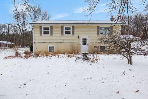 10038 Fish Rd, Belding, MI 48809 photo 1