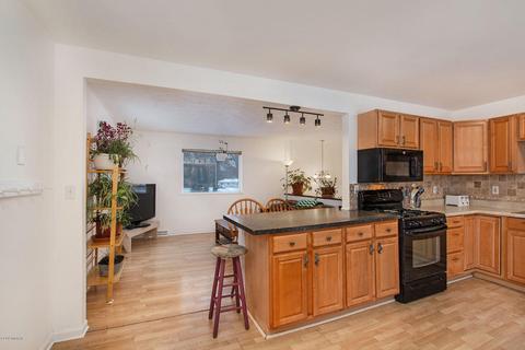 10038 Fish Rd, Belding, MI 48809 photo 22