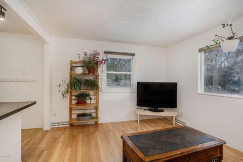 10038 Fish Rd, Belding, MI 48809 photo 25