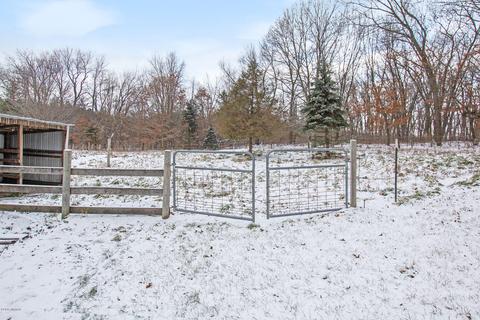 10038 Fish Rd, Belding, MI 48809 photo 9