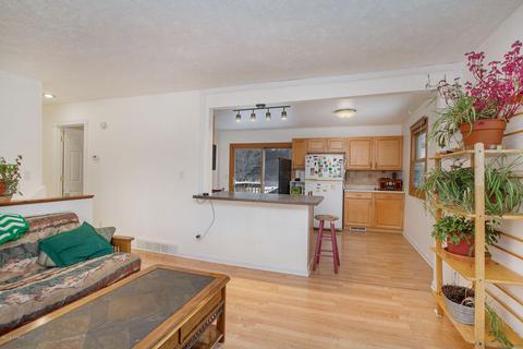 10038 Fish Rd, Belding, MI 48809 photo 24