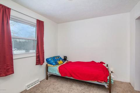 10038 Fish Rd, Belding, MI 48809 photo 14