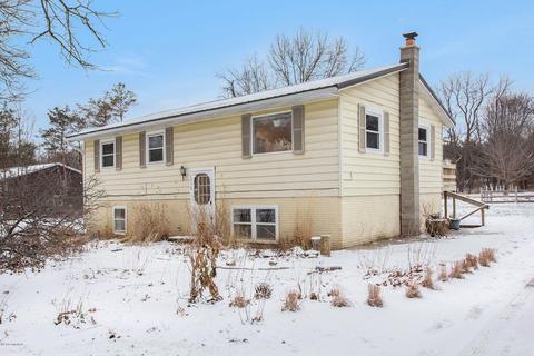 10038 Fish Rd, Belding, MI 48809 photo 2