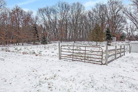 10038 Fish Rd, Belding, MI 48809 photo 6