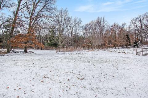 10038 Fish Rd, Belding, MI 48809 photo 5