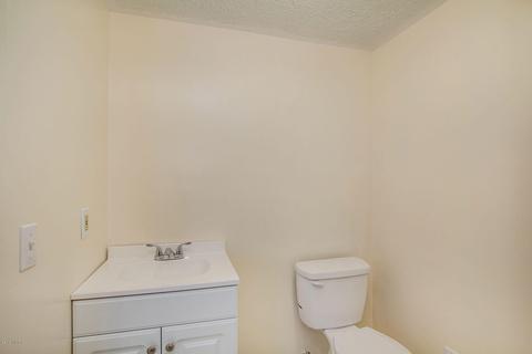10038 Fish Rd, Belding, MI 48809 photo 29