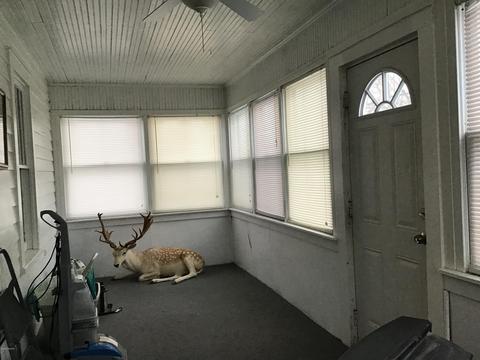 501 E Morrell St, Otsego, MI 49078 photo 12
