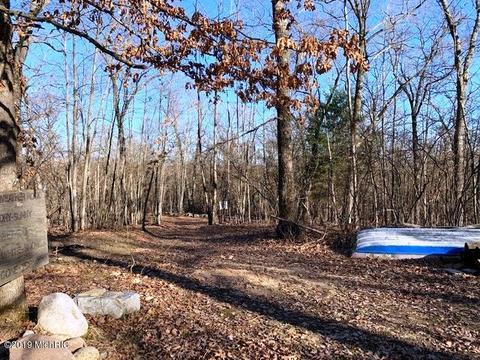 11573 Willow Rd, Bitely, MI 49309 photo 43