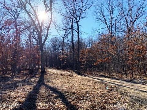 11573 Willow Rd, Bitely, MI 49309 photo 5