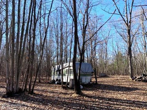 11573 Willow Rd, Bitely, MI 49309 photo 6