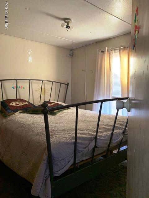11573 Willow Rd, Bitely, MI 49309 photo 23
