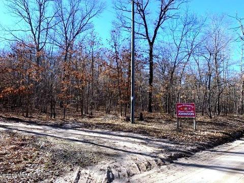 11573 Willow Rd, Bitely, MI 49309 photo 2