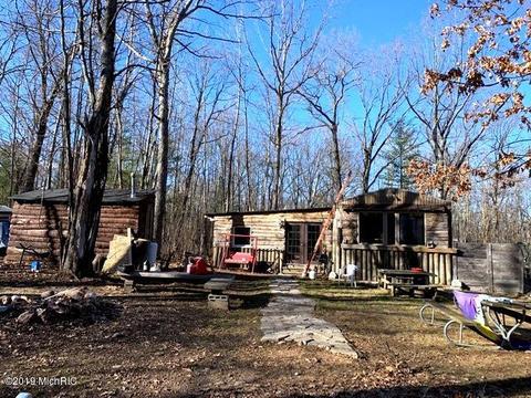 11573 Willow Rd, Bitely, MI 49309 photo 1