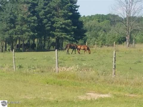 10408 W Coombs Rd, Manton, MI 49663 photo 53