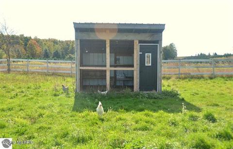 10408 W Coombs Rd, Manton, MI 49663 photo 42