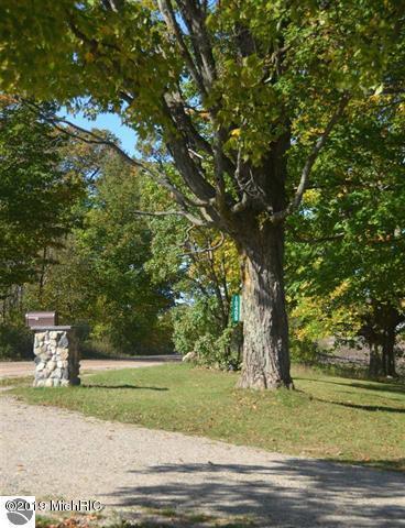 10408 W Coombs Rd, Manton, MI 49663 photo 75