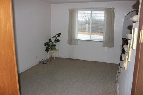 1665 Newaygo Rd, Bailey, MI 49303 photo 17