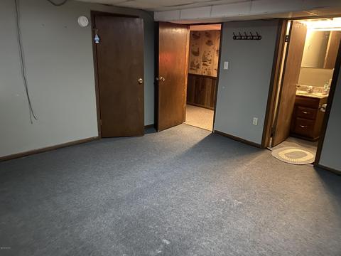 7992 S S Ainger Rd, Olivet, MI 49076 photo 44