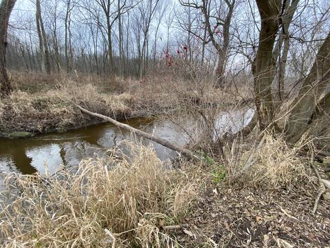 7992 S S Ainger Rd, Olivet, MI 49076 photo 52