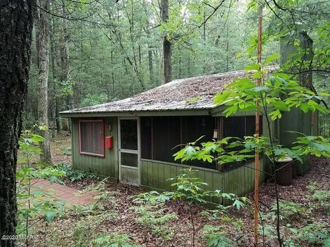 8338 E Wilderness Trl, White Cloud, MI 49349 photo 3