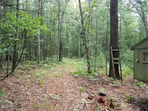8338 E Wilderness Trl, White Cloud, MI 49349 photo 7