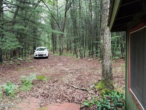 8338 E Wilderness Trl, White Cloud, MI 49349 photo 6