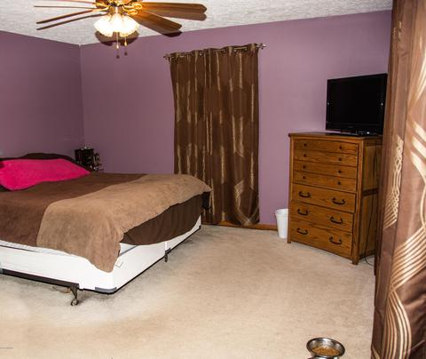 294 Pioneer St, Mendon, MI 49072 photo 10