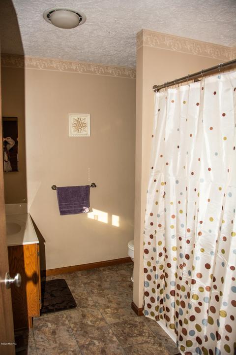 294 Pioneer St, Mendon, MI 49072 photo 14